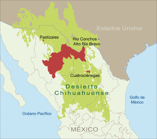 El desierto de Chihuahua se extiende entre los países de México y Estados Unidos. Foto: WWF   