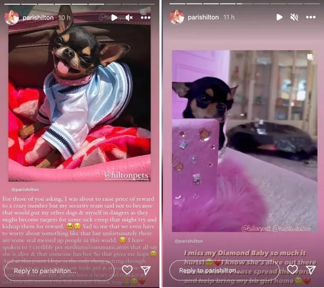 3.10.2022 | Paris Hilton revela que estaba dispuesta a aumentar la recompensa por Diamond Baby. Foto: captura Paris Hilton/Instagram