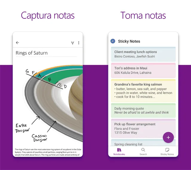 OneNote