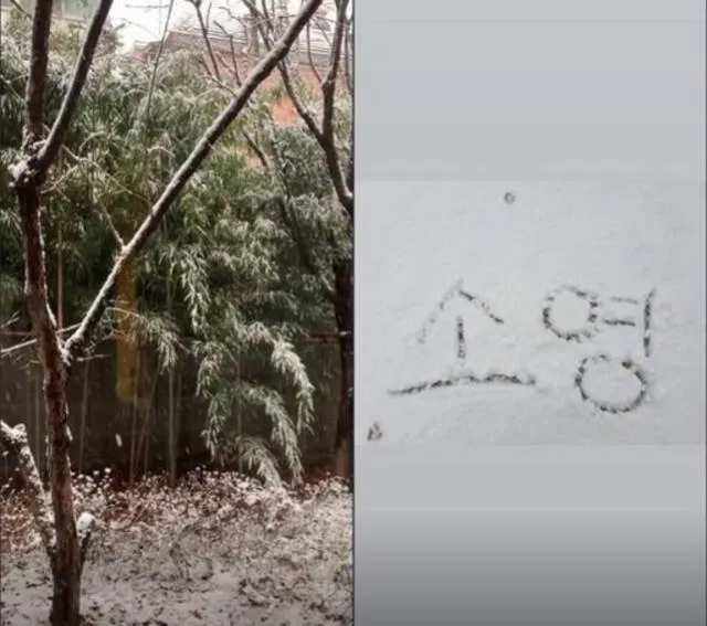 La actriz Go So Young ha actualizado su Instagram por primera vez en un mes. Ella publicó una escena de invierno en el bosque, escribiendo su propio nombre  en el suelo nevado.