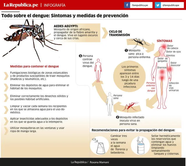 info dengue