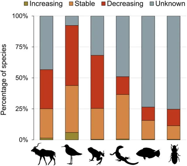  El estudio revela grandes pérdidas poblacionales de animales. Imagen: Biological Reviews   