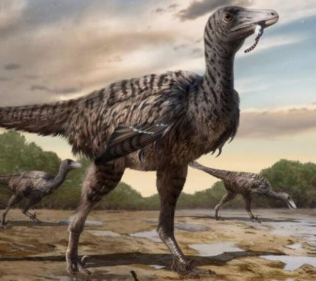 El dinosaurio habría medido casi 5 metros de altura, en total. Foto: Lida Xing et al.    