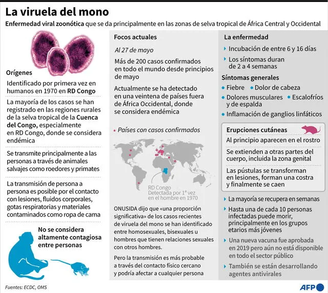 Viruela del mono: información actualizada sobre el brote actual de la enfermedad en el mundo. Infografía: AFP