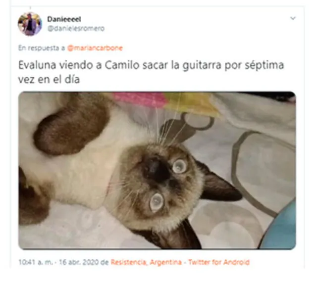 Los memes de Evaluna y Camilo. Foto: Twitter