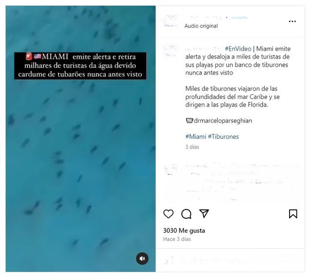 <em> Video viral sobre los tiburones. Foto: captura de Instagram</em>   