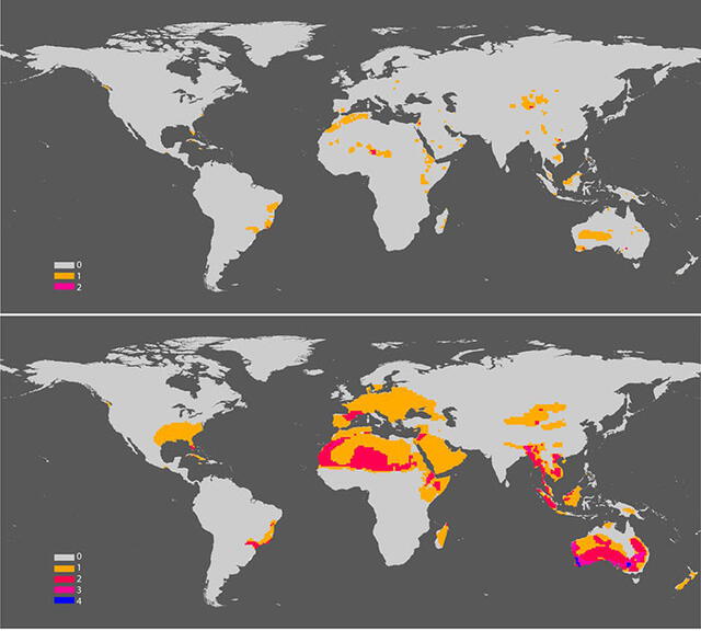Unos 48 mamíferos y 29 especies terrestres de aves al borde de la extinción, con menos de 1.000 individuos, están repartidos en varios países. Foto: PNAS