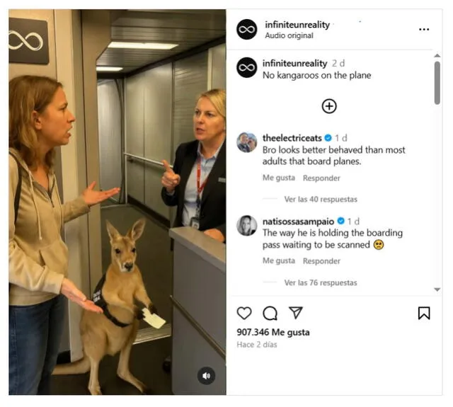 <em>Primer registro del video viral en la web. Foto: captura de Instagram</em>   