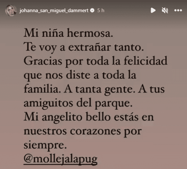  Johanna anuncia la muerte de su mascota. Foto: Johanna San Miguel/ Instagram    