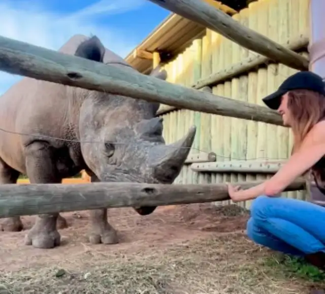  Actriz de 'American Pie', Shannon Elizabeth, junto al rinoceronte Munu. Foto: Instagram/shannonelizabethfdn 
