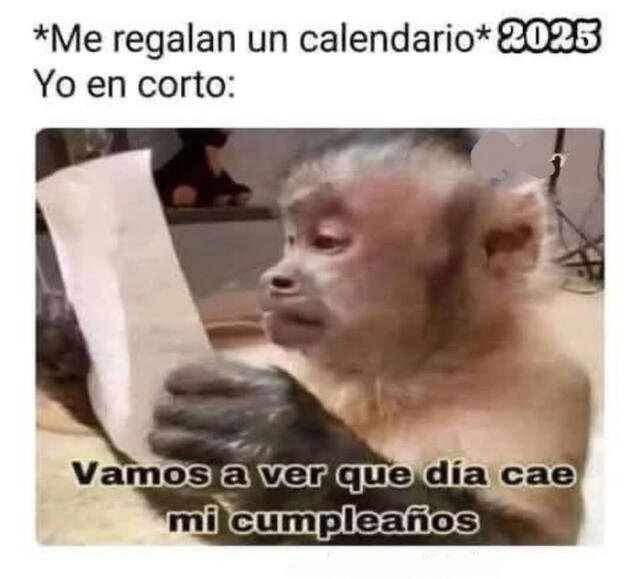 memes | Año Nuevo | 2025 | viral | redes sociales | WhatsApp | humor 