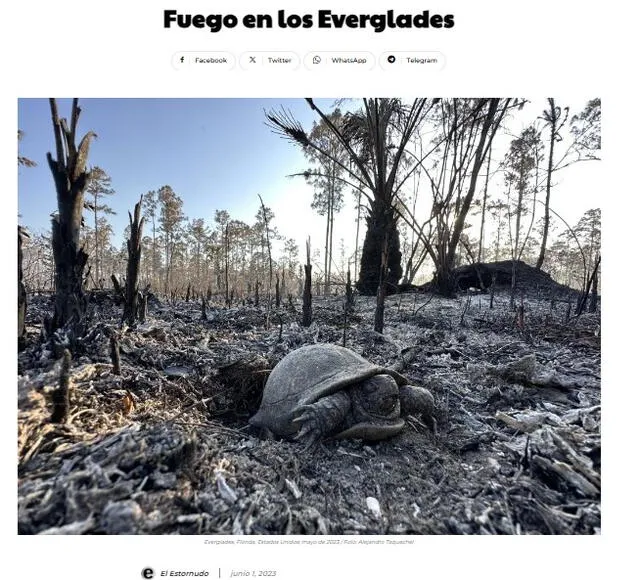  Foto 3 corresponde a los incendios forestales en Estados Unidos en 2023. Foto: captura en web /&nbsp; El Estornudo.    