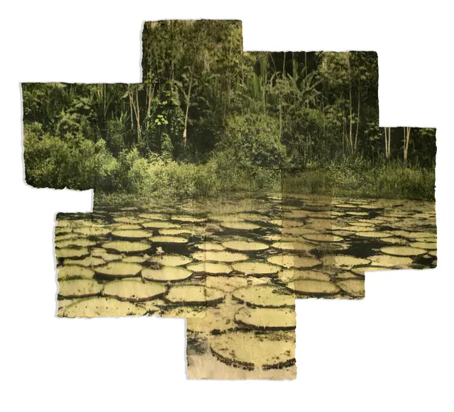 “Victorias regias III". Imagen: Difusión. “Victorias regias III". Imagen: Difusión.