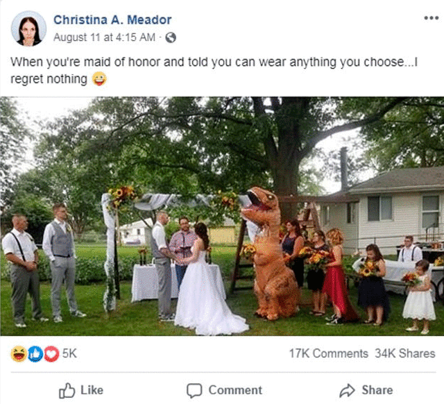Asiste a la boda de su hermana disfrazada de dinosaurio ‘rex’ [VIDEO]