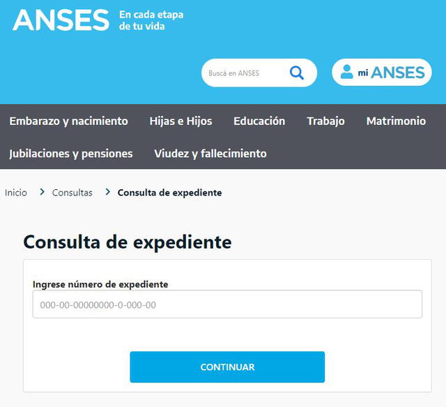 ANSES, Pensión por discapacidad, Argentina