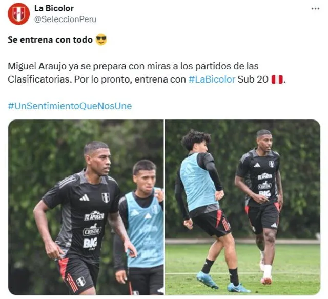 Miguel Araujo no está suspendido por acumulación de amarillas para el partido ante Chile Foto: captura de La Bicolor/X   