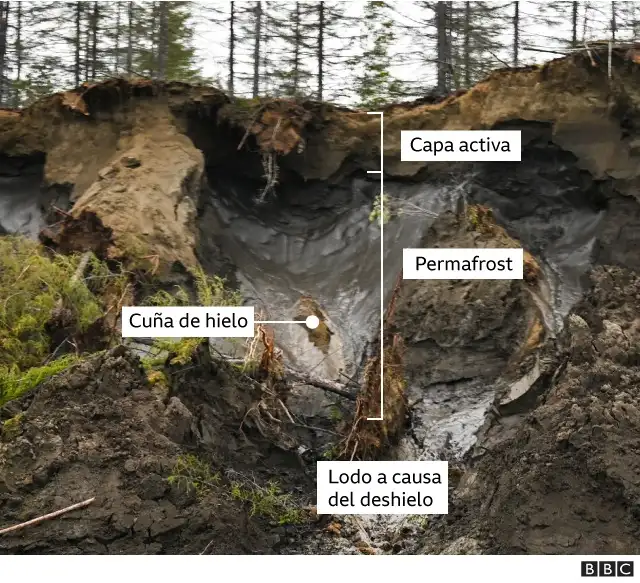 Permafrost Permafrost