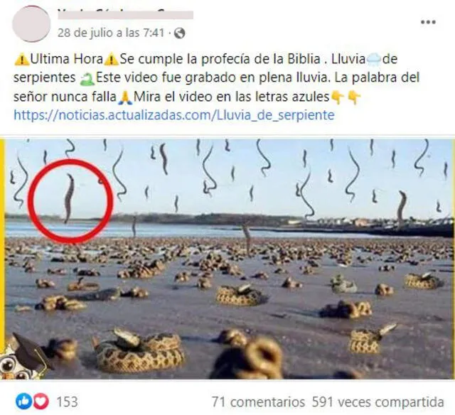 Usuarios advierten que imagen evidencia una "lluvia de serpientes"? Falso. captura en Facebook.