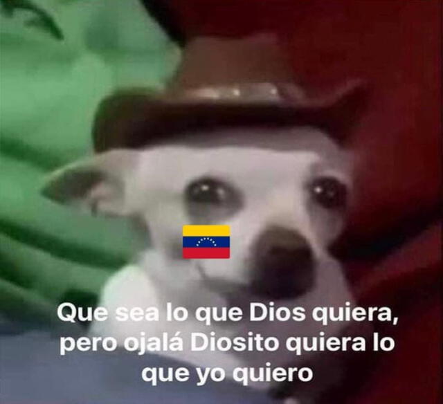 Venezuela vs. Ecuador Eliminatorias 2026 | Memes Vinotinto: 'Mano, tengo fe' y otras imágenes que nos deja el partido de Venezuela y Ecuador | Vinotinto vs La Tri | eliminatorias Conmebol fecha 5 | redes sociales | viral | Mundial 2026