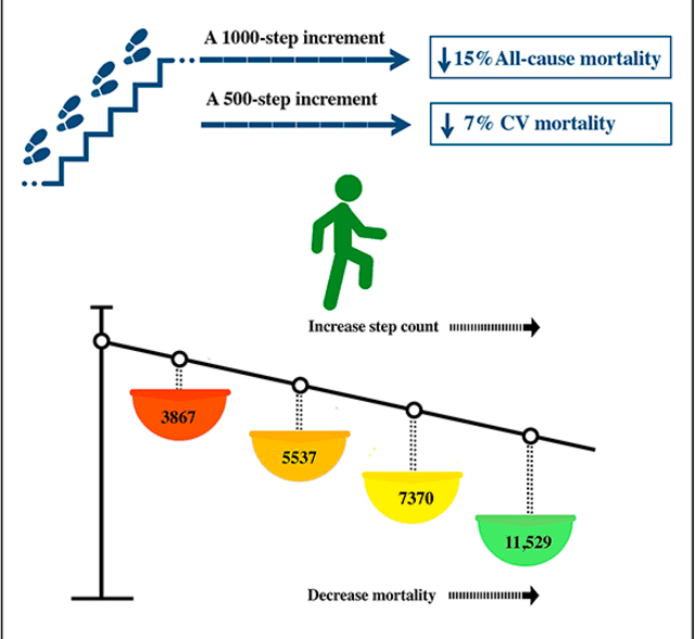  El estudio confirmó que caminar previene muertes prematuras. Foto: European Journal of Preventive Cardiology   