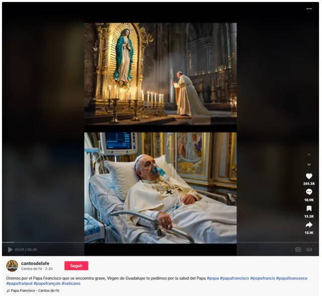 <em>Registro original de la gráfica viral. Foto: captura de TikTok</em>   