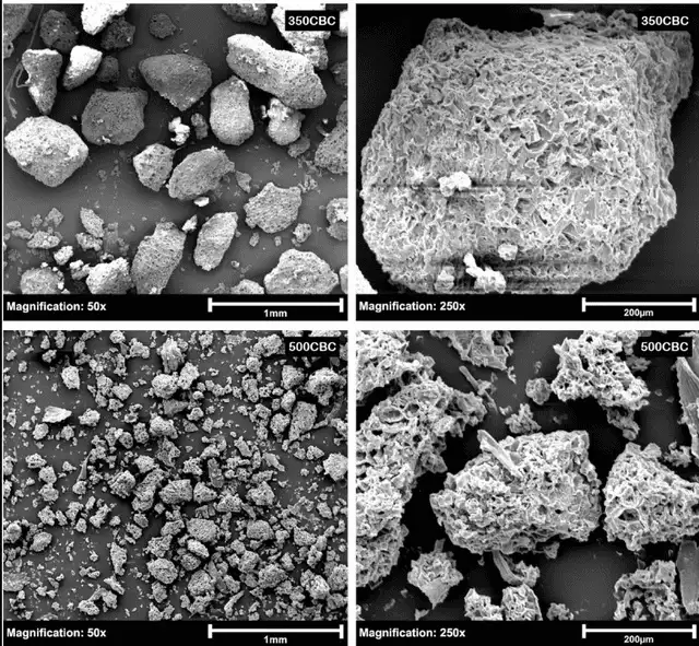 Imágenes de microscopio electrónico de barrido de las estructuras superficiales de los granos de café pirolizados. Foto: Science Direct
