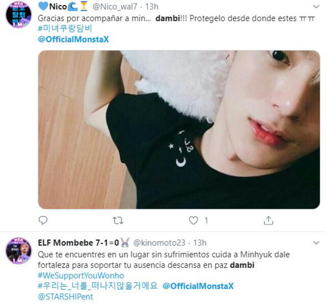 MONBEBE en Twitter tras enterarse de la muerte de la mascota de Lee Minhyuk.