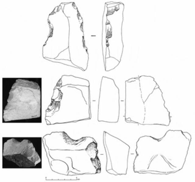 Los arqueólogos encontraron tres osteodermos de perezoso, depósitos óseos que funcionan como una armadura. Foto: Cambridge.   