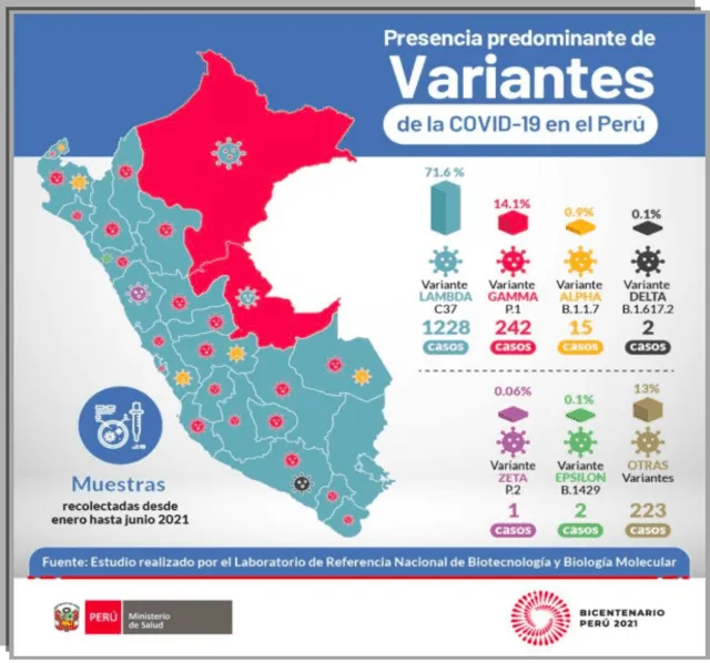 Gráfico que muestra la presencia de las diferentes variantes de la COVID-19 por regiones en el país desde enero del 2021 hasta junio del 2021. Fuente: Ministerio de Salud.