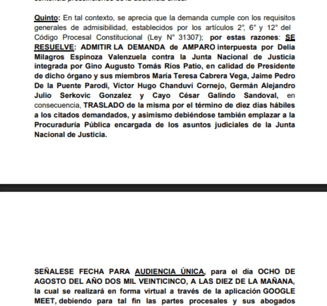 Extracto de la demanda de amparo presentada por Delia Espinoza contra el JNJ admitida por el Poder Judicial | Foto: La República. Extracto de la demanda de amparo presentada por Delia Espinoza contra el JNJ admitida por el Poder Judicial | Foto: La República.