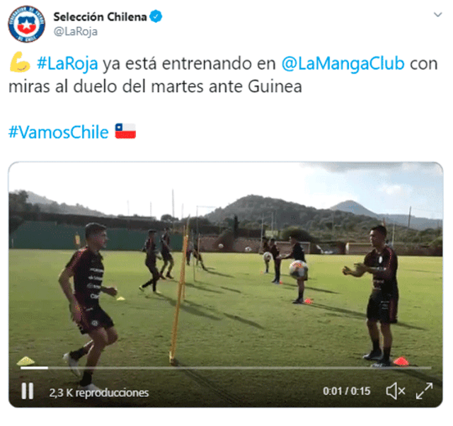Chile vs Guinea EN VIVO por el amistoso internacional
