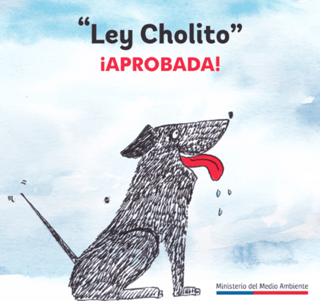 Ley Cholito