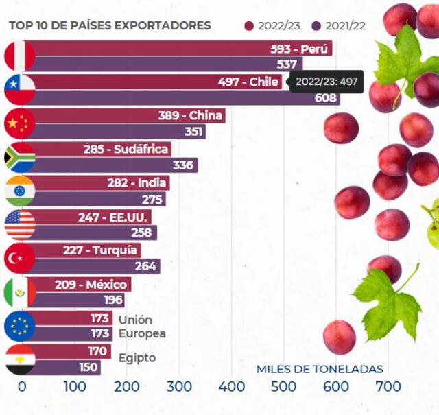 Perú se ha convertido en el mayor exportador de uva de mesa en el mundo, superando a China y Chile, con más de 71 millones de cajas exportadas en la temporada 2022-2023. Foto: South Pacific Logistic   