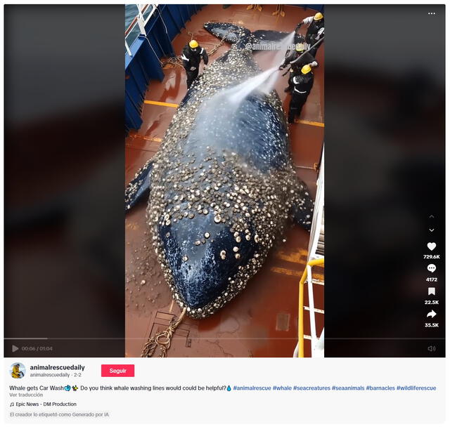 <em>Primer registro del video viral en la web. Foto: captura de TikTok</em>   