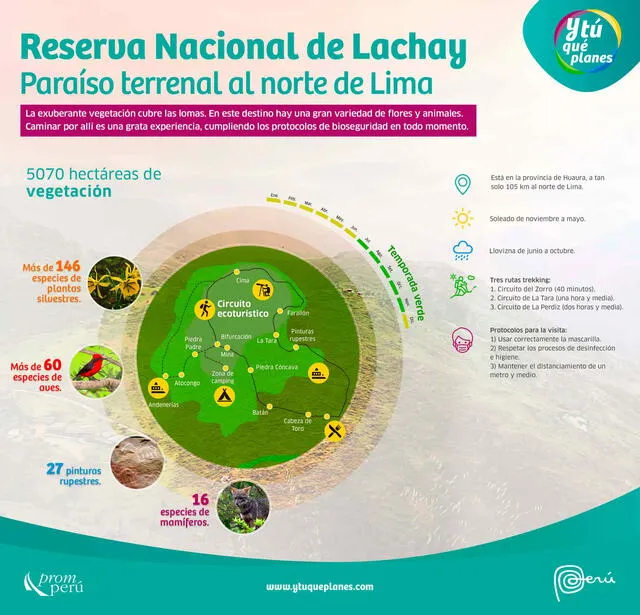 Reserva Nacional de Lachay