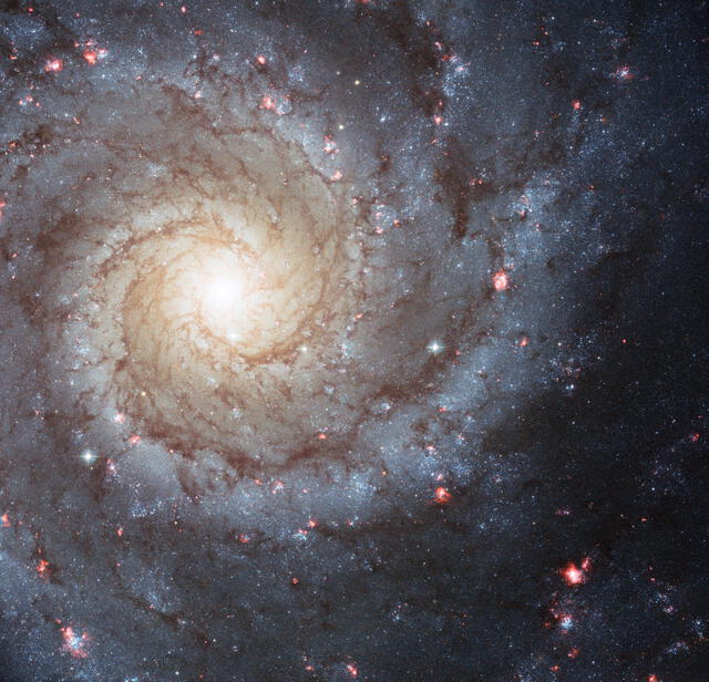Messier 74 fotografiado por el telescopio Hubble de la NASA. Foto: NASA / ESA / Hubble
