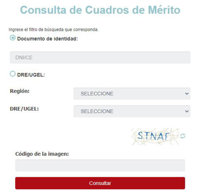 Consulta de Cuadros de Mérito. Foto: Evaluación Docente