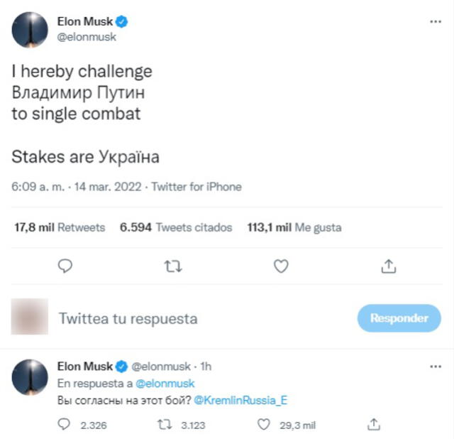 El desafío de Elon Musk a Vladimir Putin. Foto: captura de @elonmusk / Twitter