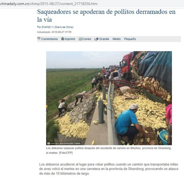  Reporte sobre la volcadura del camión con pollitos publicado en 2015. Foto: captura en web / China Daily.    