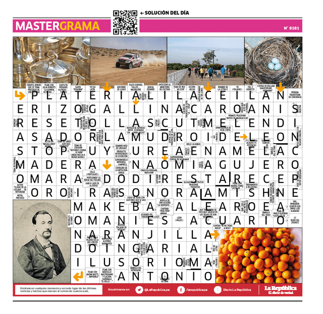  Mastergrama N° 8181  