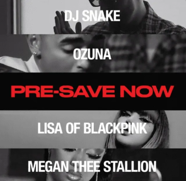 BLACKPINK Lisa DJ Snake Ozuna Megan Thee Stallion
