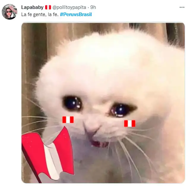 Mejores memes del Perú vs. Brasil por las Eliminatorias Qatar 2022. Foto: captura Twitter Mejores memes del Perú vs. Brasil por las Eliminatorias Qatar 2022. Foto: captura Twitter