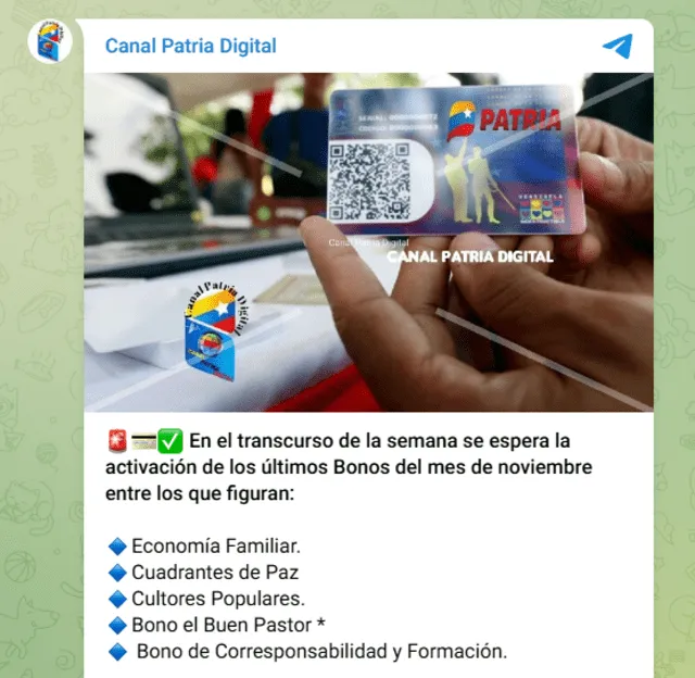 Se espera que se desembolsen cinco bonos antes de que termine el mes. Foto: Canal Patria Digital/ Telegram
