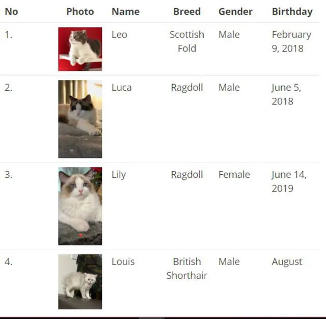Los gatos de Lisa | BLAKPINK Update