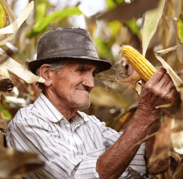 Imágenes por el Día del Campesino en Venezuela 2024. Foto: X   