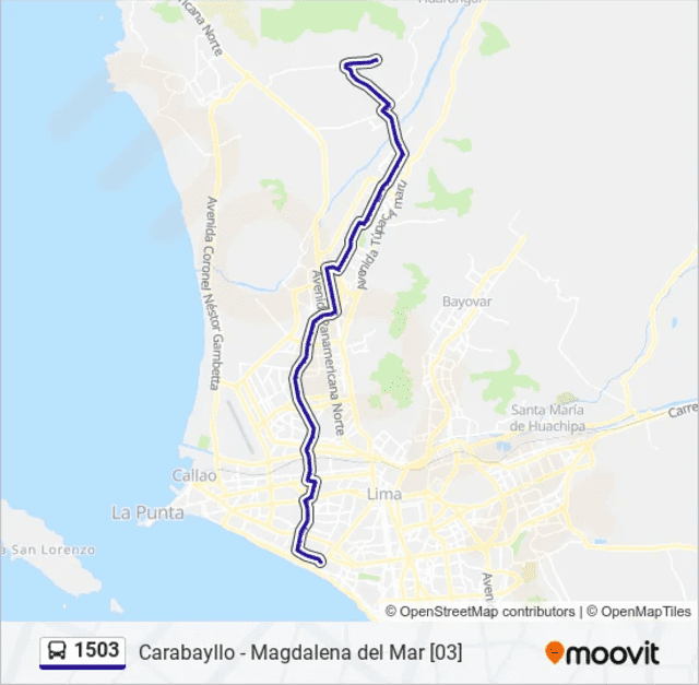  El bus azul llamado "3" recorre casi toda esta avenida: desde Carabayllo hasta Magdalena del Mar. Foto: Moovit   