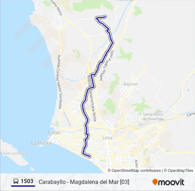  El bus azul llamado "3" recorre casi toda esta avenida: desde Carabayllo hasta Magdalena del Mar. Foto: Moovit   