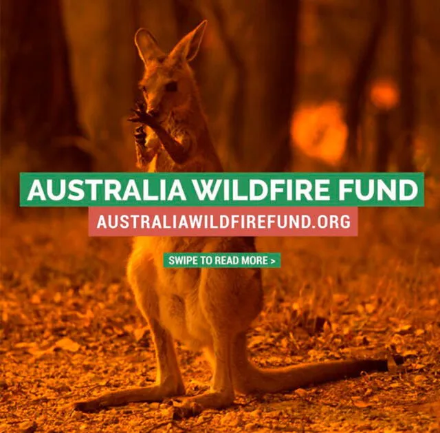 Leonardo DiCaprio, a través de su organización medioambiental Earth Alliance, creó el Australia Wildfire Fund para ayudar a combatir los incendios en Australia. Foto: Instagram
