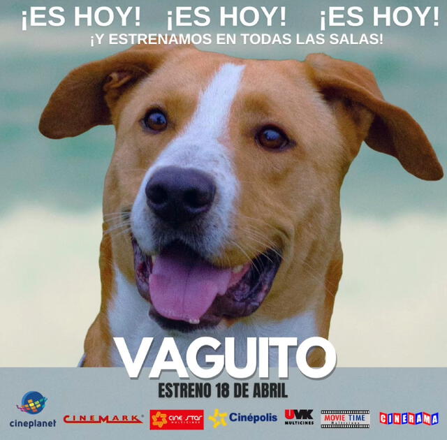  'Vaguito' es una película peruana del género dramático, protagonizada por el perro del mismo nombre y el actor Julián Legaspi. Foto: Bamboo Pictures   