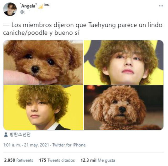 Fans comentan el nuevo estilo de Taehyung. Foto: Twitter